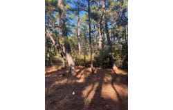 Pine Lodge Dr, Bastrop, TX 78602