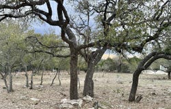 104 C Chisholm, Blanco, TX 78606