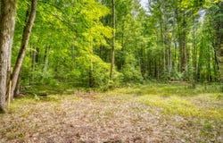 3720 Pfeiffer Court, Morley, MI 49336