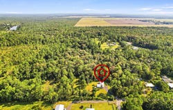 7984 HAMILTON AVE, HASTINGS, FL 32145