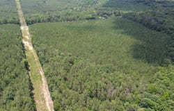 County Road 40, Brilliant, AL 35548