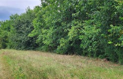 440 Bernard Drive lot: 10, Conway, AR 72032
