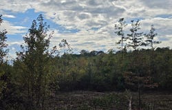 Victory Road, Franklin, GA 30217