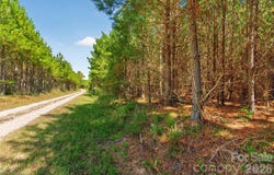 Narrow Bridge Road, Chester, SC 29706