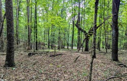 Cannady School Road, Floyd, VA 24091