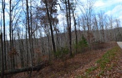 Tomahawk Rd lot: 75, Jamestown, TN 38556