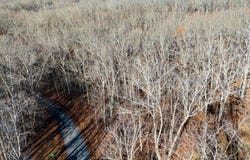 Shadow Rock Drive lot: 9, Monteagle, TN 37356