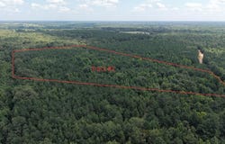 Tract 2 CR 4320, DeKalb, TX 75559