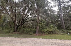 4 Carnochan Lane SE lot: 4, Darien, GA 31305