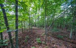 RIDGEHAVEN, Mammoth Spring, AR 72554