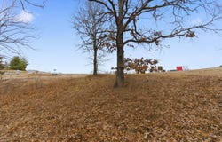 195 Emerald Pointe Road, Hollister, MO 65672