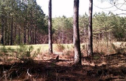 Houston Valley Road, Ringgold, GA 30736