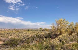8075 E 6000 N, Lapoint, UT 84039