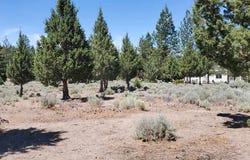 Lake Shore Dr., Weed, CA 96094