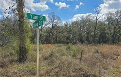 6436 Yam Street, Webster, FL 33597