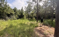 Beartown Road, Jayess, MS 39641