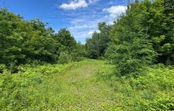 300th Lane, McGregor, MN 55760