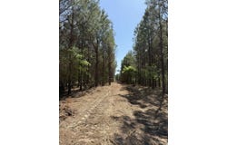 Lincoln Springs Rd, Gladewater, TX 75647