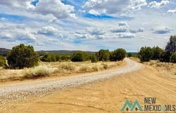 16 Five Gate, Pinehill, NM 87357