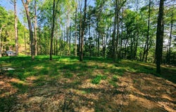Leaf Ridge, Clintwood, VA 24228