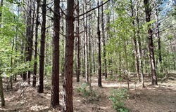 3 Dry Creek Road, Magee, MS 39111