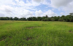 1340 County Road 253, Weimar, TX 78962