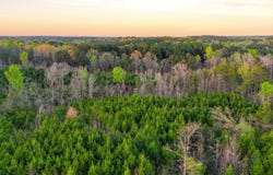 OLD BANKHEAD Hwy, Cordova, AL 35550