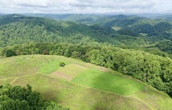 4040 Highway 70, Eidson, TN 37731