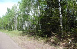 Michigan Avenue, White Pine, MI 49971