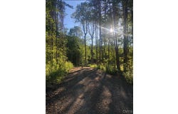 Yellow Barn Road, Freeville, NY 13068