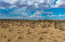 6 Sunway Drive, Yucca Valley, CA 92284