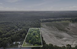 Sheeplo Loop, Hattiesburg, MS 39465