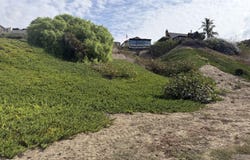 Alessandro, Ventura, CA 93001