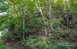 101 Chipmunk Lane, Beech Mountain, NC 28604