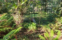 Eighty Acres Rd, GoldBeach, OR 97444