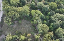 TBD Beaver Hollow RD, Garfield, AR 72732