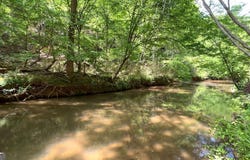 25 Mountain Creek Trail NE, Fairmount, GA 30139