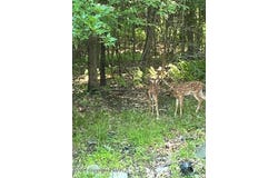 Ash Dr 406, Pocono Summit, PA 18346