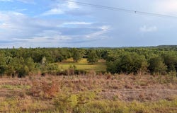Liberty Hill Rd, Oakman, AL 35579