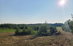 ON WOODLAWN RD, Kennan, WI 54537