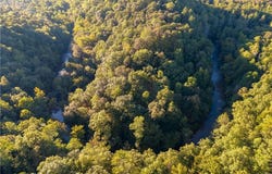 Lawrence Road, Dawsonville, GA 30534
