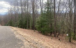 241 ARTHUR LANE, DANIELS, WV 25832