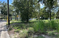 VENTNOR Avenue, TARPON SPRINGS, FL 34689