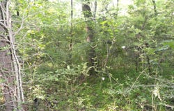 168 Reflections Drive, Marshall, AR 72650-9999