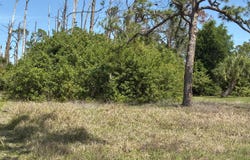 480 Longley Drive, Port Charlotte, FL 33953