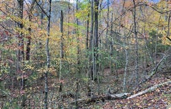 39a Hedden Stiles lot: 0, Murphy, NC 28906