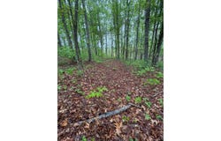 James River Road, Appomattox, VA 24522