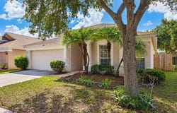 13233 EARLY RUN Lane, RIVERVIEW, FL 33578