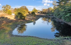 9086 FM 49, Gilmer, TX 75644