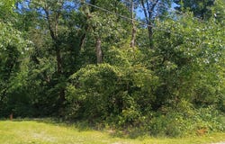 Bote Drive, Porter, IN 46304